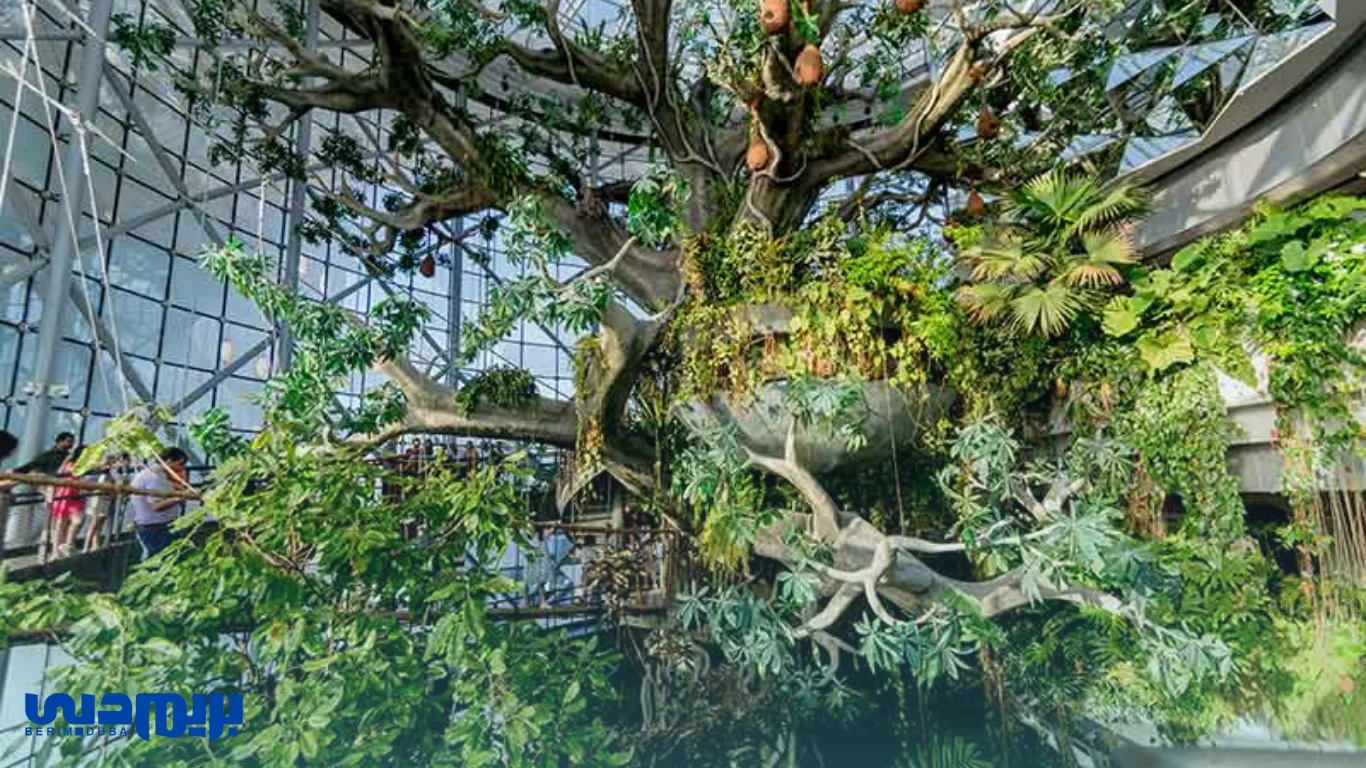 بهترین تفریحات دبی در تابستان 9 بهترین جاهای دیدنی دبی در تابستان