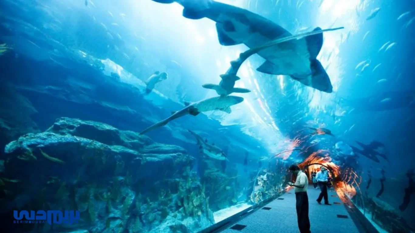 بهترین تفریحات دبی در تابستان 10 دیدنی های دبی در تابستان